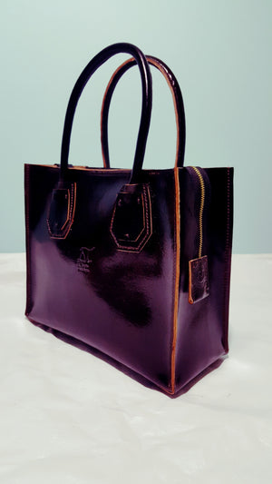 S.TOYESE ELEGANT BAG